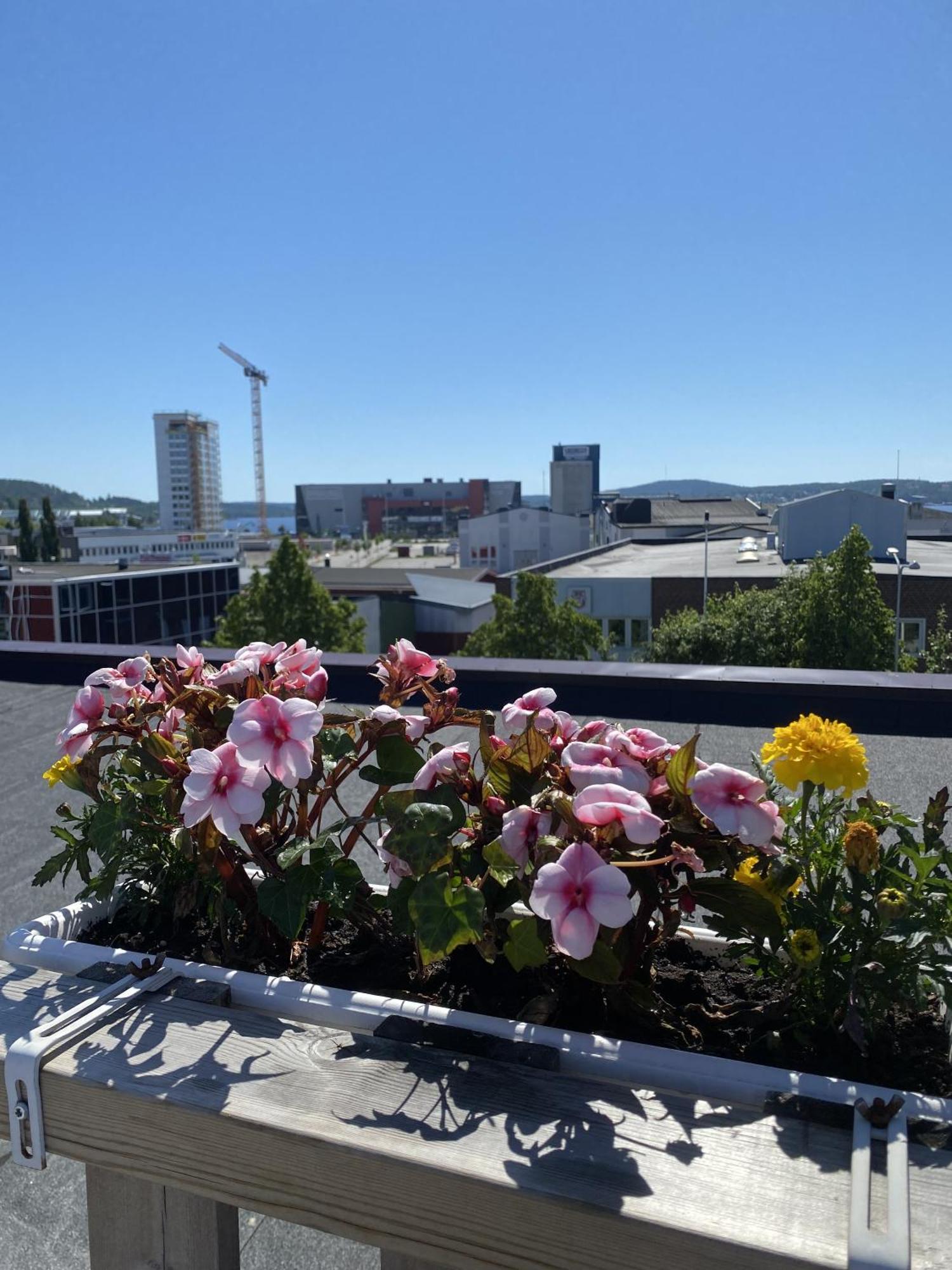 Strand City Hotel Örnsköldsvik Exterior foto